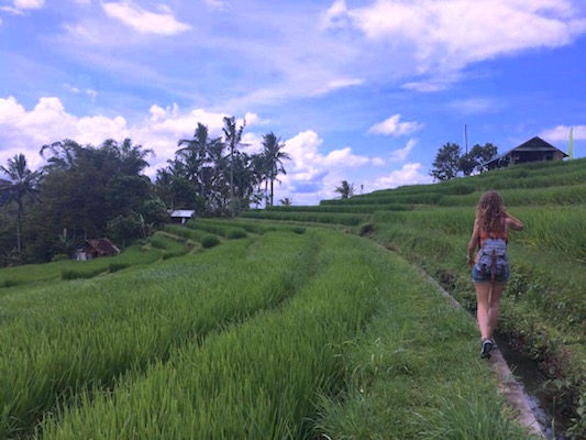 camminando tra la risaia di Jatiluwih nel mio viaggio a Bali