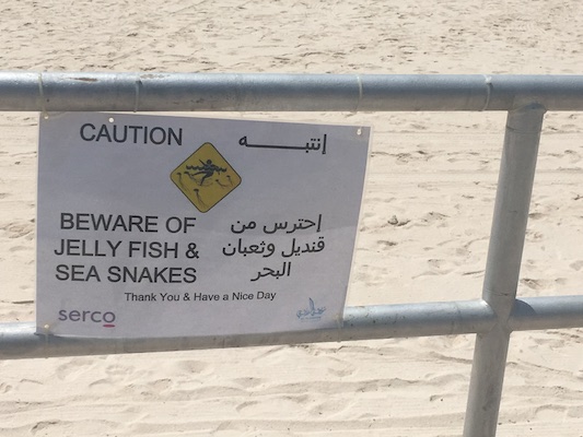 Beware of jellyfish and sea snakes sign on the beach at the Corniche in Abu Dhabi