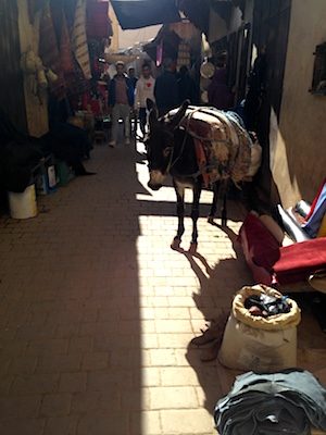 Un mulo nel souk della medina di Fes