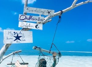 Relaxing on a hammock is one of the things to do on Dhiffushi Island