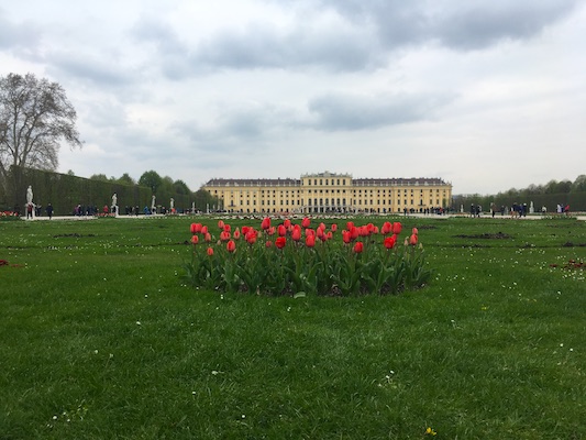The Schonbrunn Palace, another main tourist attraction in Vienna