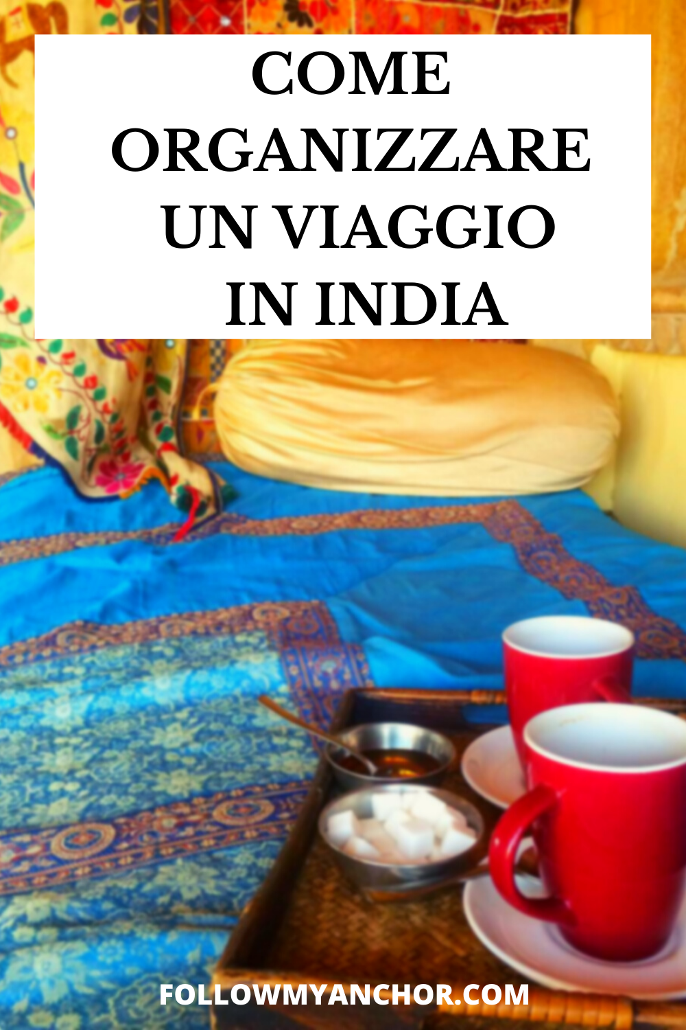 COME ORGANIZZARE UN VIAGGIO IN INDIA: IL TUO VADEMECUM PER L\'INDIA